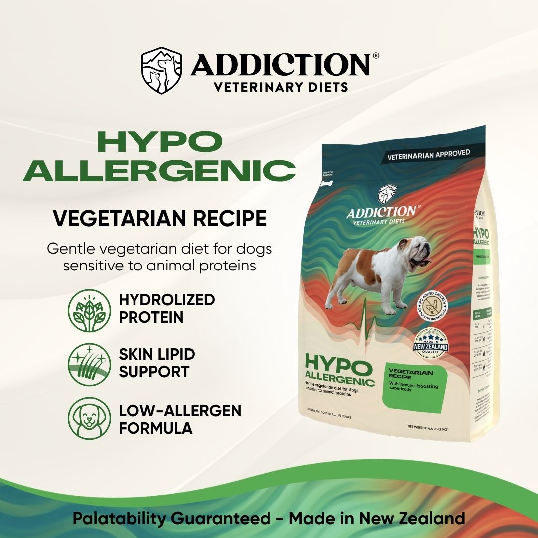 Hypoallergenic Vegetarian Recipe
