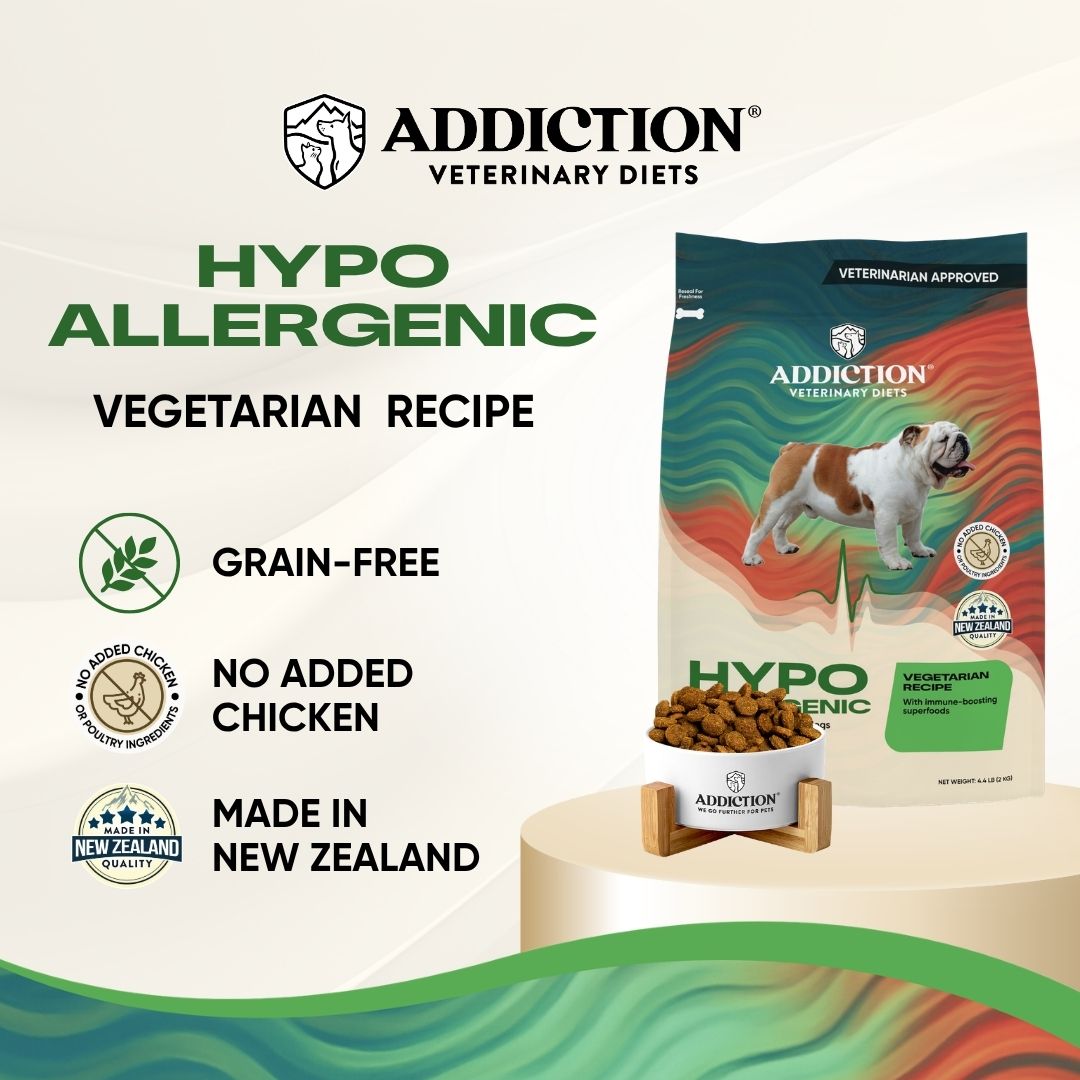 Hypoallergenic Vegetarian Recipe
