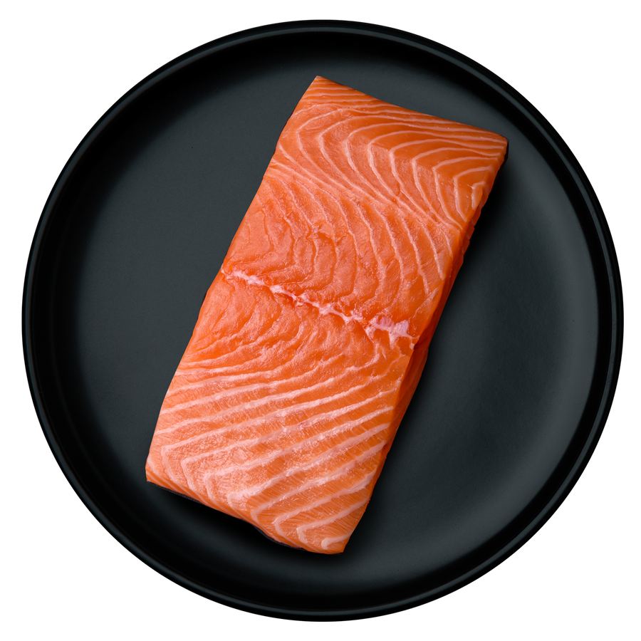 Salmon
